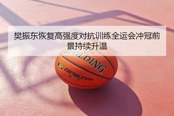 樊振东恢复高强度对抗训练全运会冲冠前景持续升温