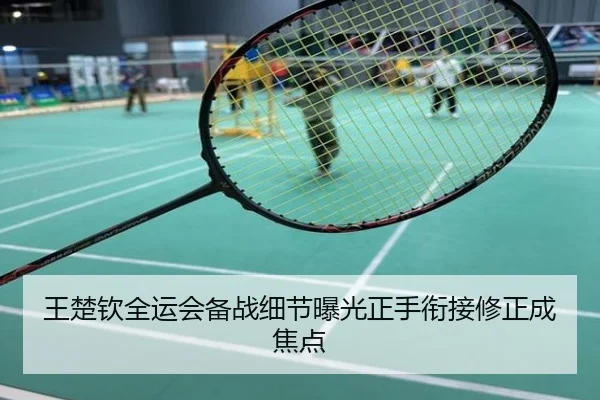 王楚钦全运会备战细节曝光正手衔接修正成焦点